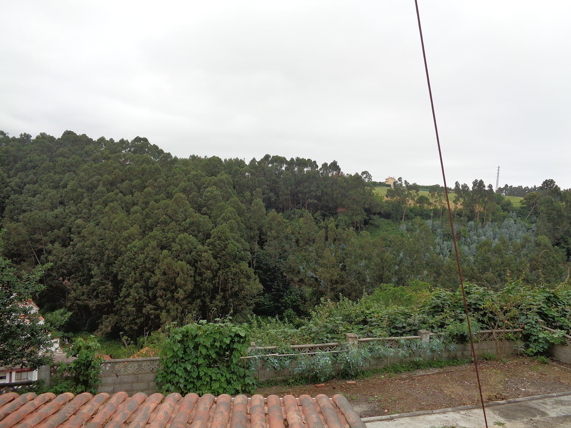 Norte de España: Cornisa Cantábrica